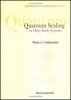 Quantum_Scaling_in_Many-Body_Systems_22.10.2010_0_00_00.jpg