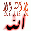 4.GIF.gif