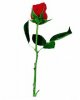 rose33.jpg