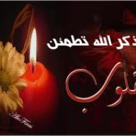 ثامر الحياني