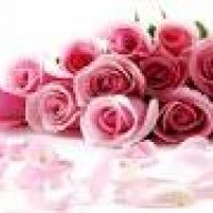 فاطمه الحجامي