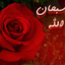 عابدة الرحمن